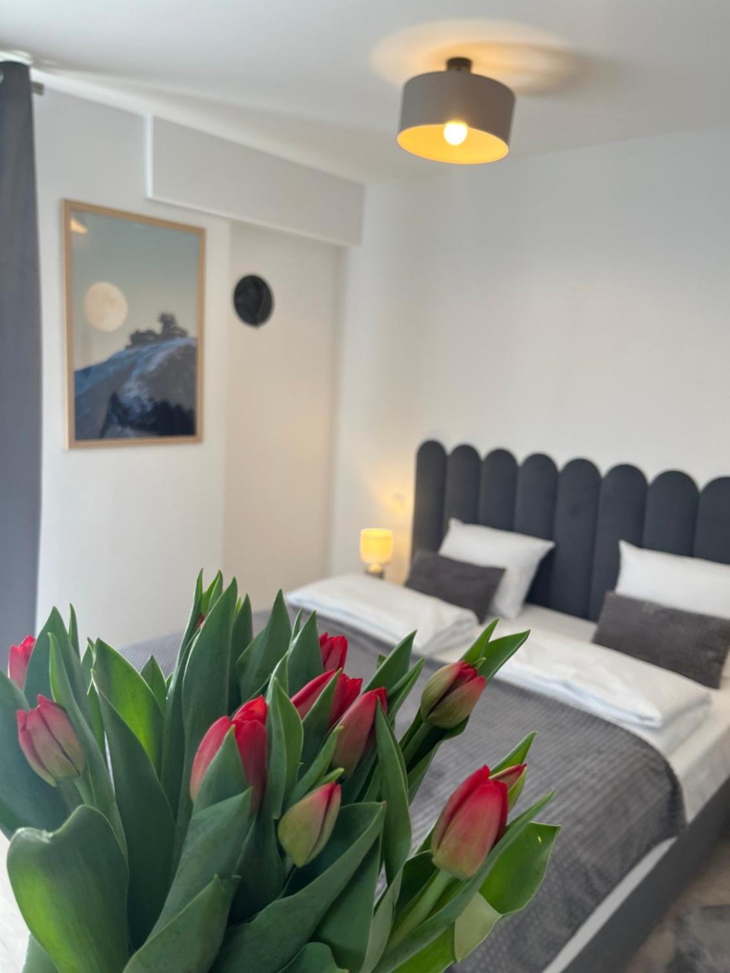 Karkonoskie Widoki Apartamenty Karpacz Exterior foto